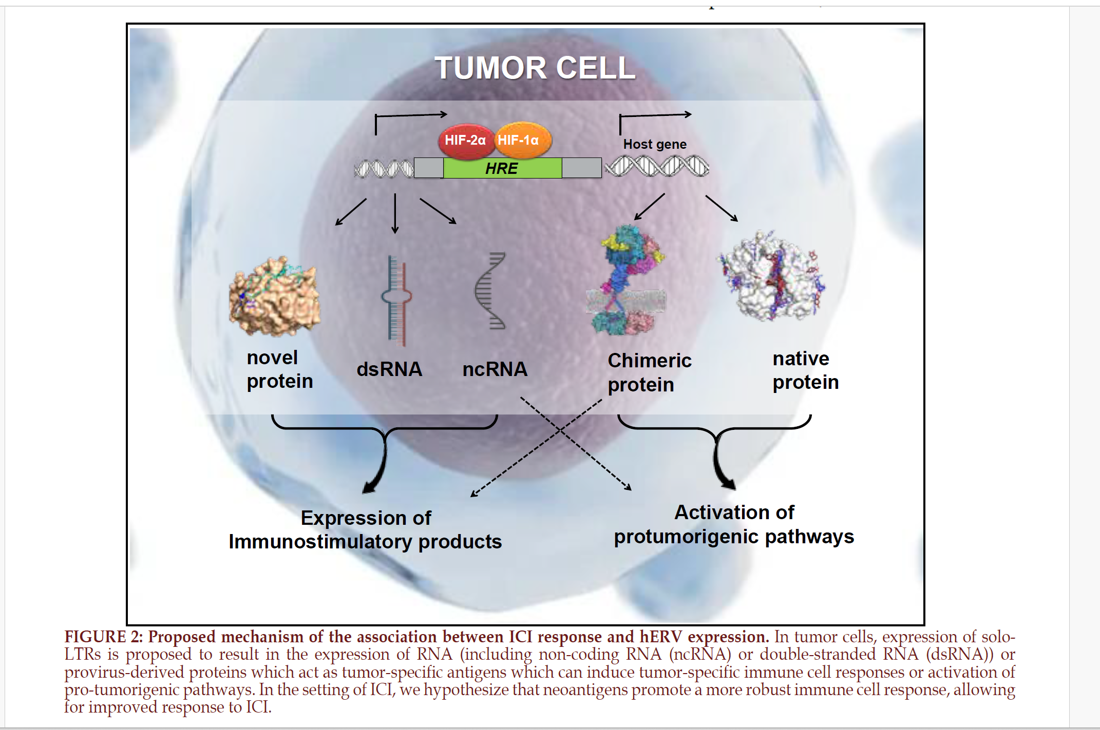  Gessner et al